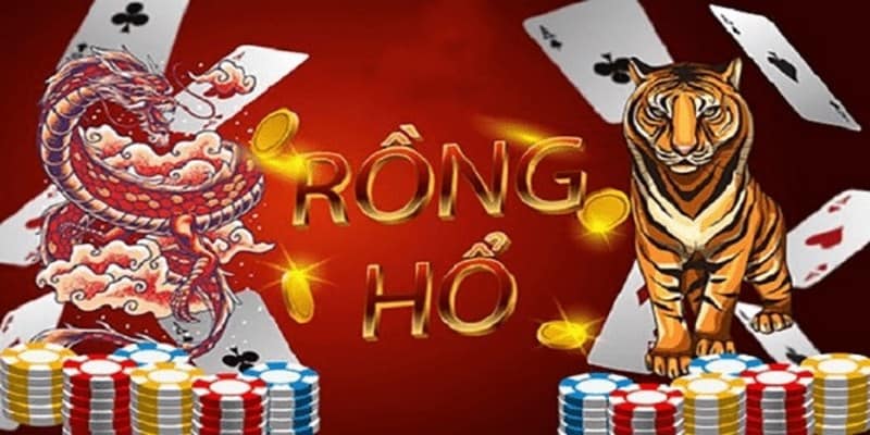 Tìm hiểu về bộ môn rồng hổ