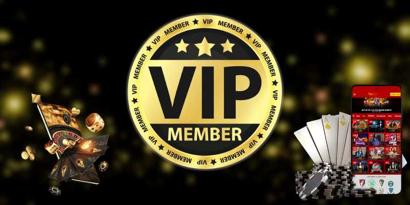 Người dùng VIP luôn được hưởng nhiều đặc quyền khi chơi cá cược